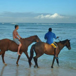 Horse back riding, beach ride